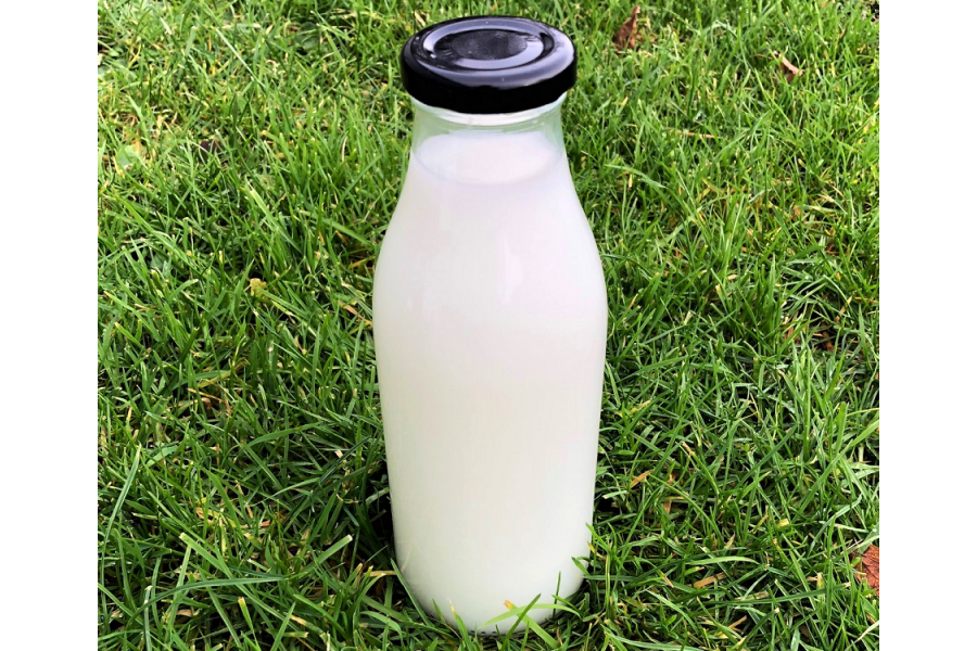 500ml Glass Milk Bottles with RTO cap | Graham Tyson
